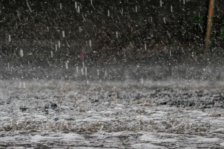 Bəzi yerlərdə yağış intensivləşib - Faktiki hava