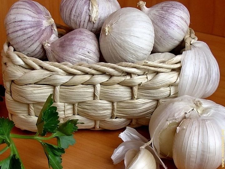 Soyuqdəymədən xərçəngə qədər bir çox xəstəliyin qarşısını almağa kömək edən  ELİKSİR