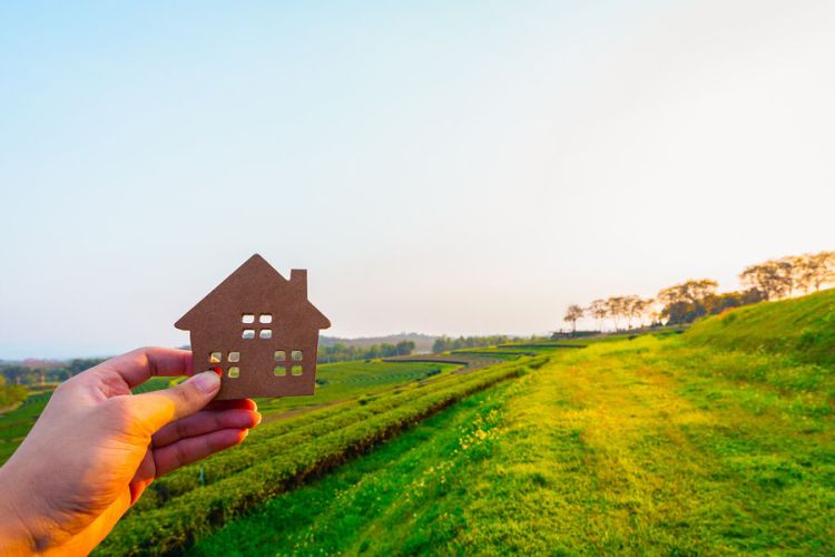 Altayda dövlət böyüklüyündə torpaq sahələri  satılır