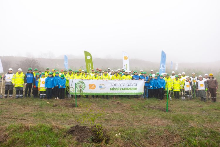 Silsilə ağacəkmə aksiyaları keçirilib -  FOTO