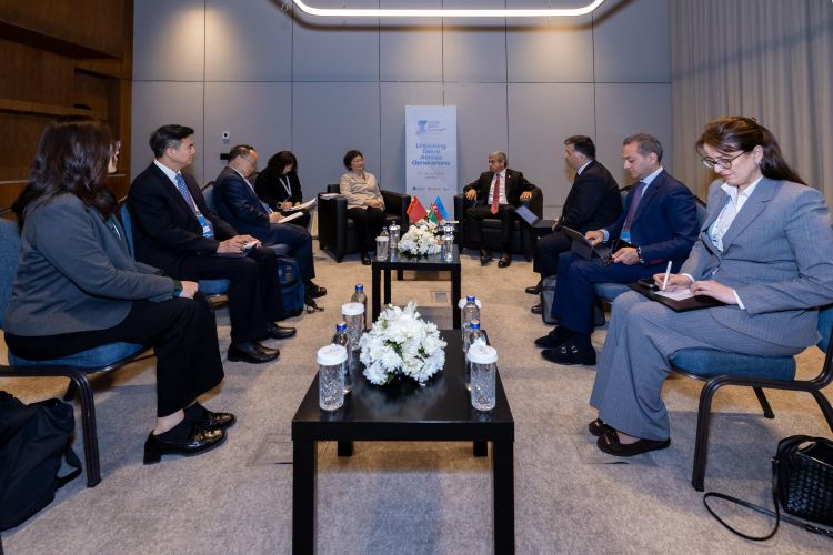 Bacarıqlar Sammiti çərçivəsində ikitərəfli görüşlər keçirilib - FOTO