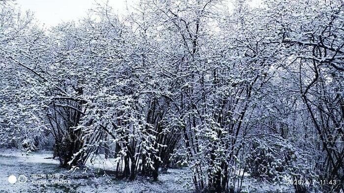 Bəzi rayonlara qar yağır -  Faktiki hava
