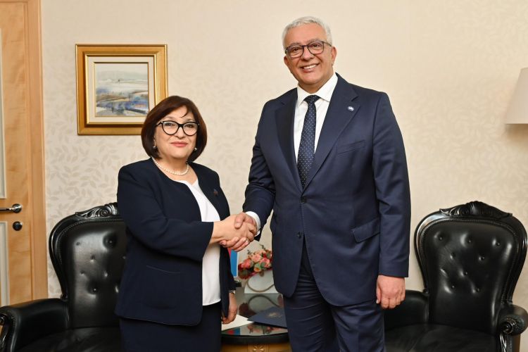Azərbaycan və Monteneqro parlament sədrlərinin görüşü olub - FOTO