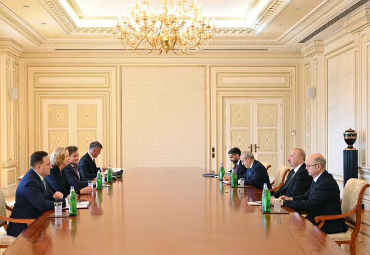 Prezident BP şirkətinin baş icraçı direktorunu qəbul edib - FOTO