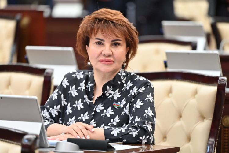 "WUF13-ün Bakıda keçirilməsi Azərbaycanın beynəlxalq nüfuzunun göstəricisidir" -  Afət Həsənova