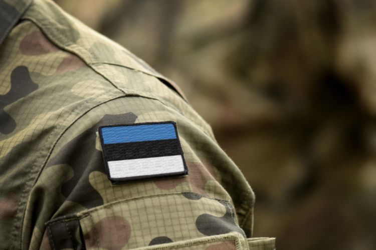 Estoniyada səmanı kimin qoruyacağı açıqlanıb