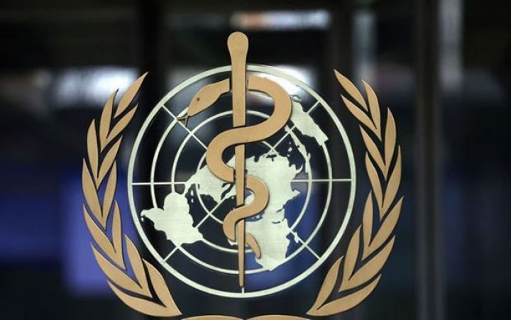 Bu, Ebolanın yayılmasının qarşısını almayacaq - ÜST rəhbəri