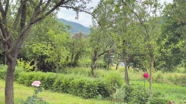 Sabahın  HAVASI