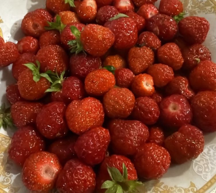 Yazda ən vacib vitamin hansıdır?