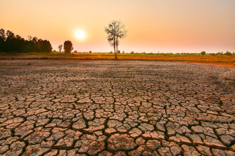 El Nino başlayıb - Yanğın və daşqın  xəbərdarlığı verildi