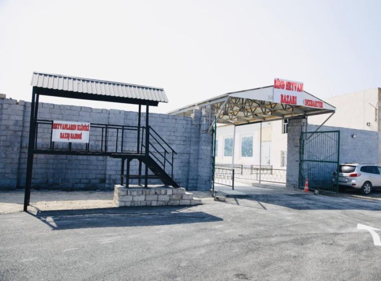 Binə qəsəbəsində yeni heyvan bazarı fəaliyyətə başlayıb