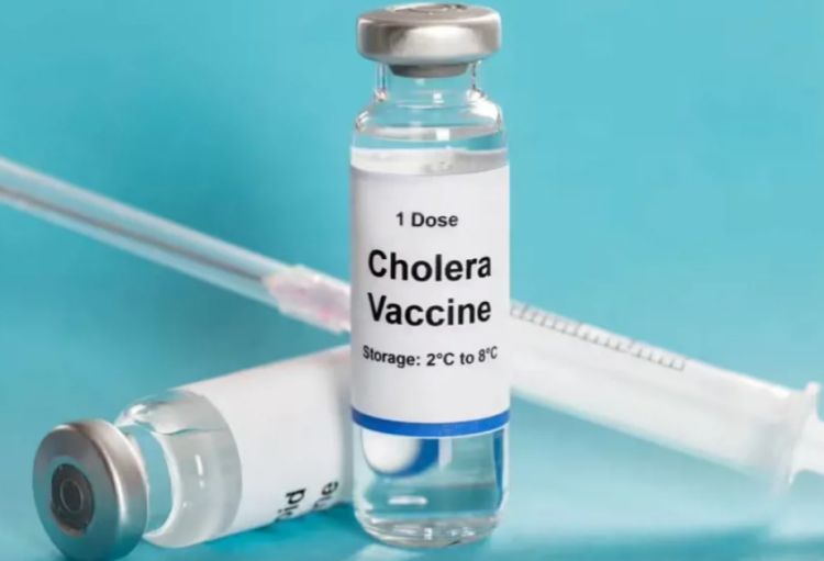 Mərkəzi Afrika Respublikasında vəba epidemiyası elan edilib