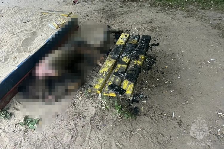 Rusiyada kişi küçənin ortasında yanaraq ölüb