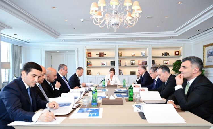 Birinci vitse-prezident Mehriban Əliyevanın sədrliyi ilə Rəqəmsal İnkişaf Şurasının ilk iclası keçirilib