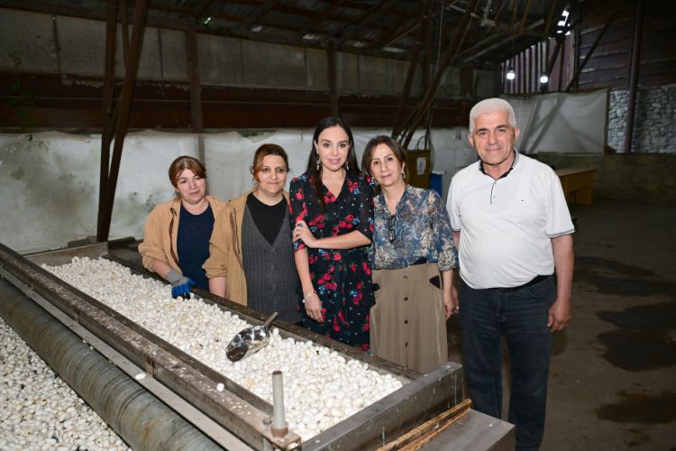 Leyla Əliyeva "Azəripək" ASC-nin fəaliyyəti ilə tanış olub - FOTO 