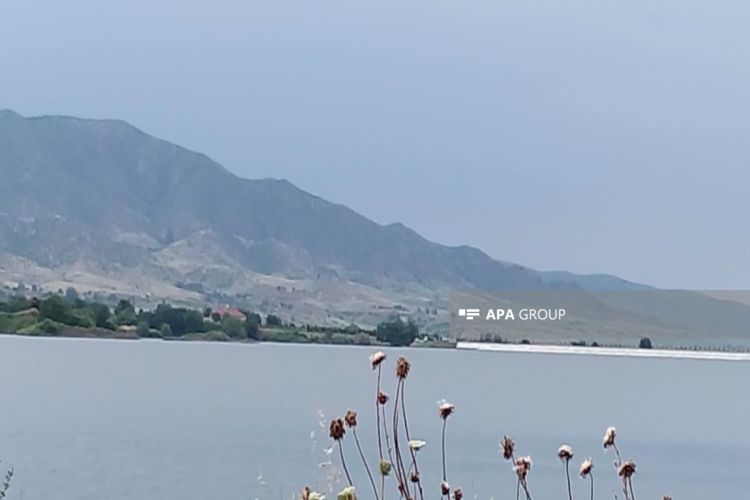 Ağdamda ata və iki azyaşlı övladı su anbarında boğulub