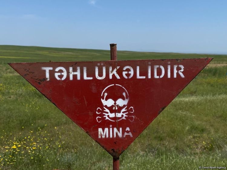 Ötən həftə 2300 hektardan çox ərazi minalardan təmizlənib