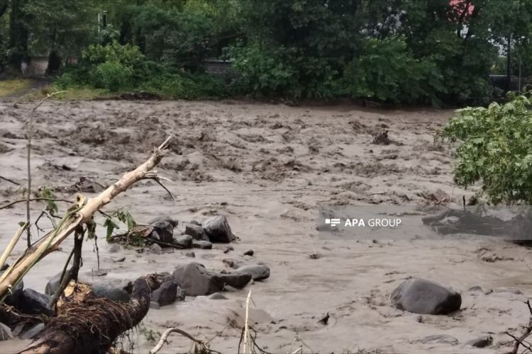Balakən və Zaqatalada leysan yağışlar: Bəzi kəndləri sel basıb - FOTO/VİDEO