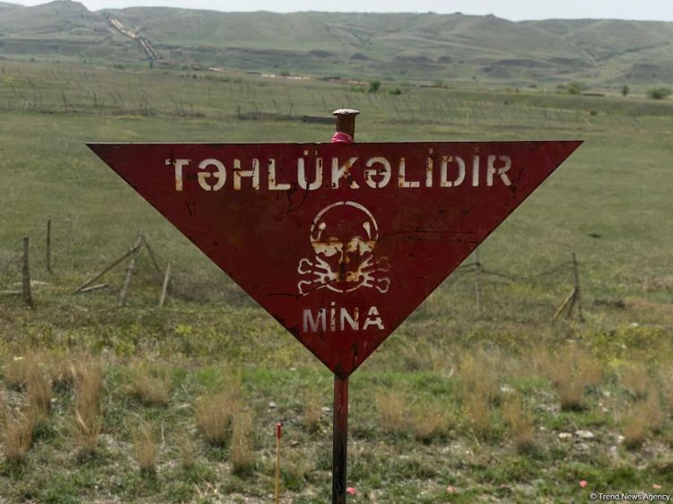 ANAMA bir həftədə aşkarlanan minaların sayını açıqladı