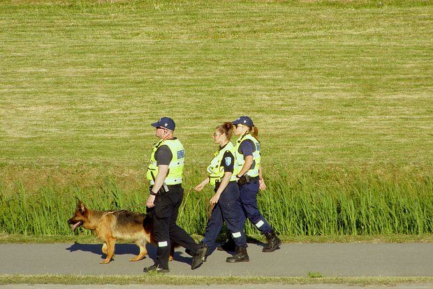 Estoniya Aİ sərhədində təhlükəsizliyi gücləndirəcəyini açıqladı