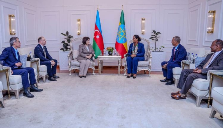 Sahibə Qafarova Efiopiyada səfərdədir - FOTO 