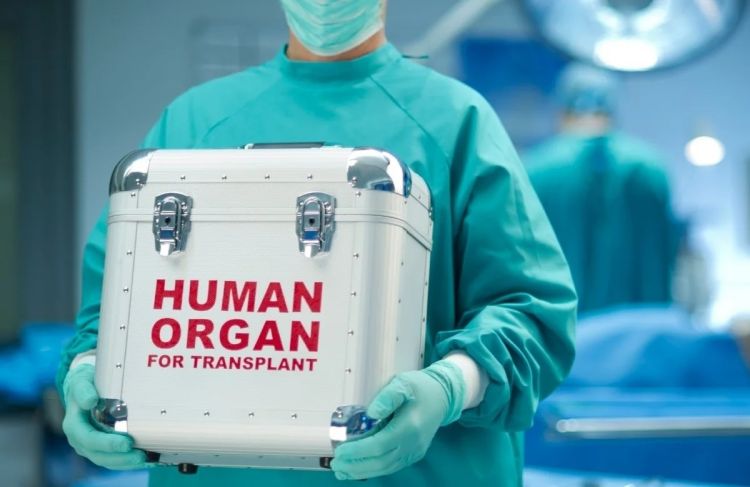 Azərbaycanda 1400-dən artıq şəxs orqan və toxuma transplantasiyası üçün növbə gözləyir -  RƏSMİ