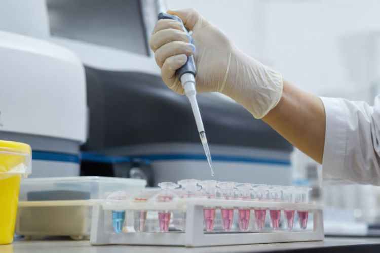 Fransada ilk yerli çikunqunya virusuna yoluxma halı qeydə alınıb