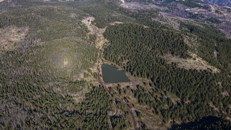 Ankarada meşələrə giriş qadağası 15 oktyabra qədər uzadılıb