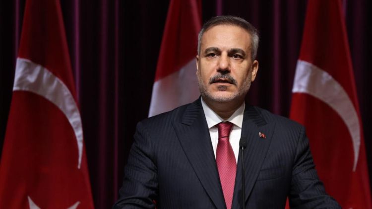 Hakan Fidan britaniyalı həmkarı Miliband ilə görüşüb