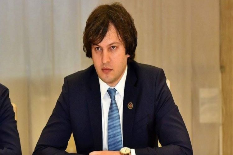 Kobaxidze ABŞ səfirliyini Gürcüstanda nifrət toxumu səpməkdə ittiham etdi