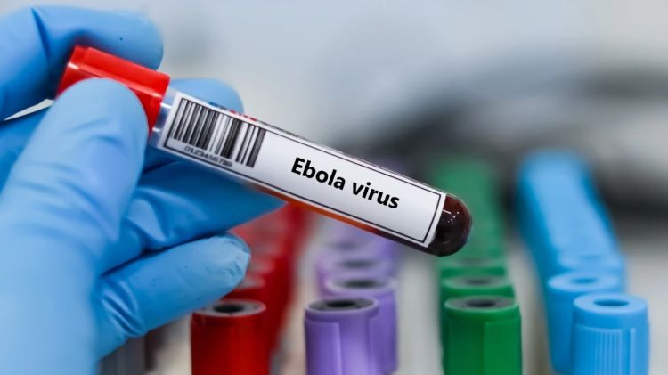 KDR-də Ebolaya yoluxma sürətlə artıb - Xəbərdarlıq