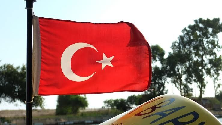 Türkiyədə təxminən 400 nəfər toyuq və düyüdən zəhərlənib