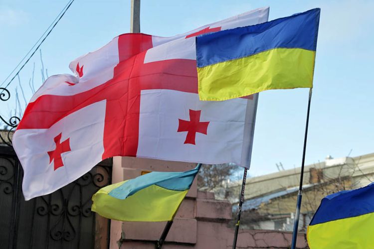 Gürcüstan və Ukrayna təhsil nazirləri arasında görüş keçirilib