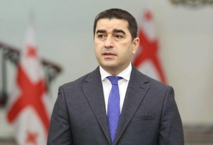 Aİ Gürcüstanda hakimiyyətin devrilməsinə dəstək verib -  Papuaşvili