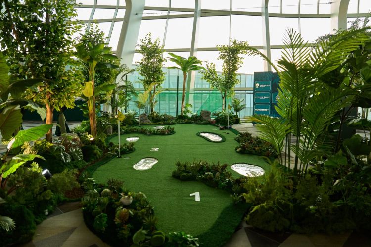 Bakı aeroportunda sərnişinlər üçün maraqlı əyləncə zonası –  “Tilsimli meşə” - FOTO