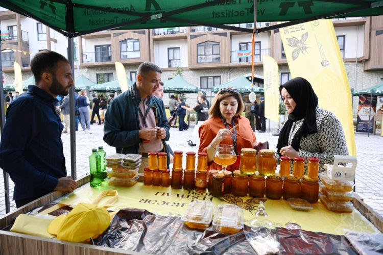 Kəlbəcərdə növbəti Bal Festivalı keçirilib - FOTO 