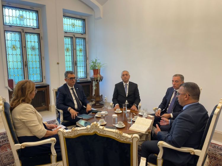 Prezidentin xüsusi nümayəndəsi  Rumıniyada bir sıra görüşlər keçirib - FOTO 