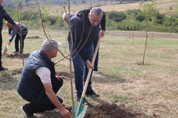 Xocalının Ballıca kəndində Anım Gününə həsr olunmuş ağacəkmə aksiyası keçirilib - FOTO 