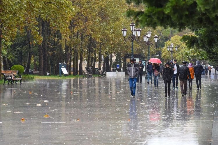 Yağış sabah da yağacaq - HAVA PROQNOZU