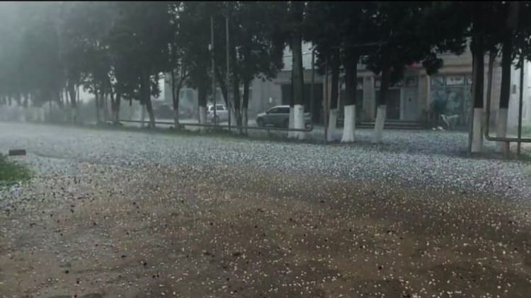 Lənkəranın bir sıra kəndlərinə dolu düşüb - FOTO 