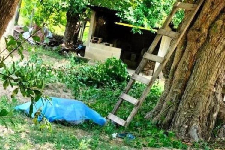 Göygöldə kişi ağacdan yıxılaraq öldü