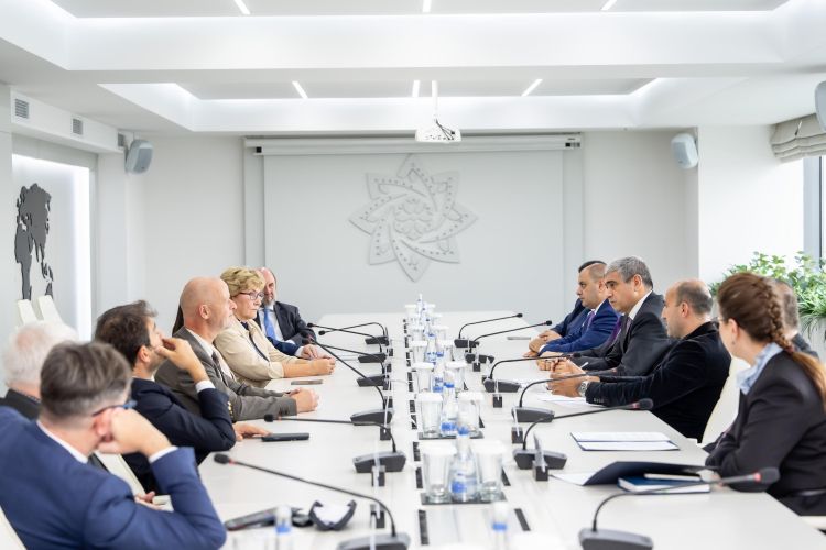 Beynəlxalq və xarici ölkələrin milli paralimpiya komitələrinin nümayəndə heyəti ilə görüş olub - FOTO