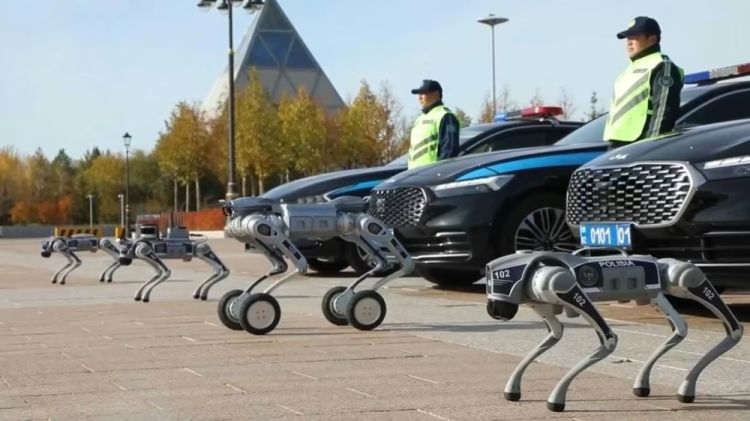 Astanada asayişi süni intellektli robot-itlər qoruyacaq – Axtarışda olanları dərhal tanıyırlar - VİDEO