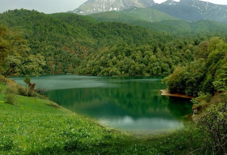 Göygöl Milli Parkı niyə hasarlanır? - Rəsmi açıqlama