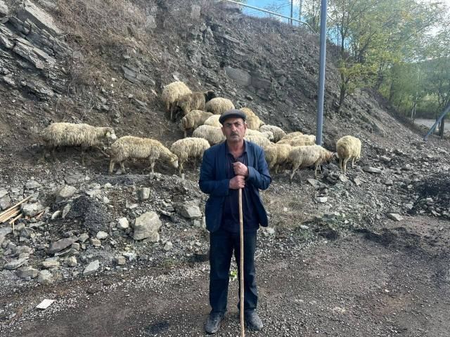 İşğaldan azad edilmiş ərazilərdə daha 105 sakin üçün özünüməşğulluq proqramı üzrə kiçik təsərrüfatlar qurulub