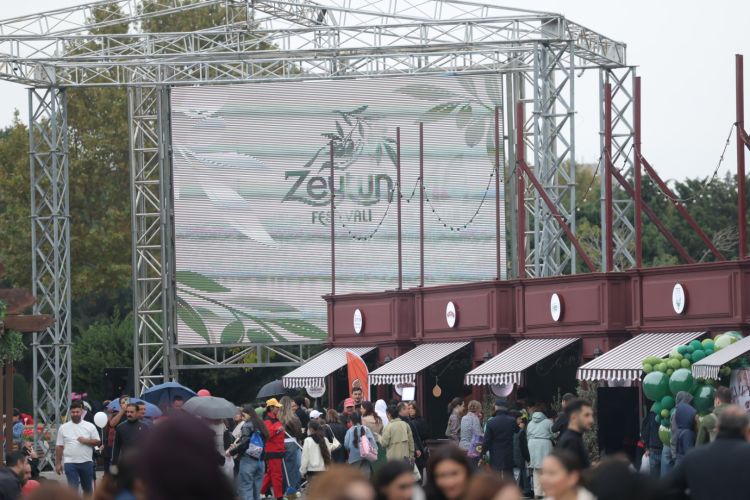 Yağışlı havaya baxmayaraq, Zeytun Festivalı davam edir