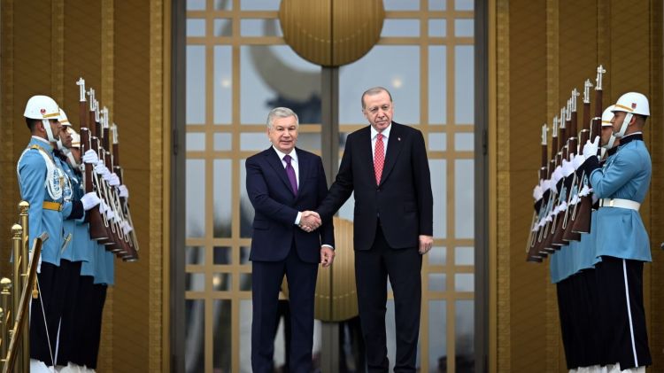 Özbəkistan və Türkiyə prezidentləri arasında Ankarada görüş keçirilib